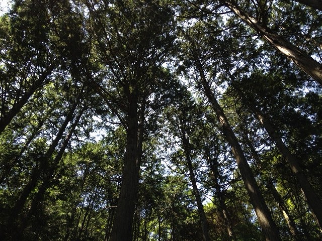 菅原神社の歴史